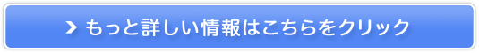 fB[v`FWHMB̔TCg